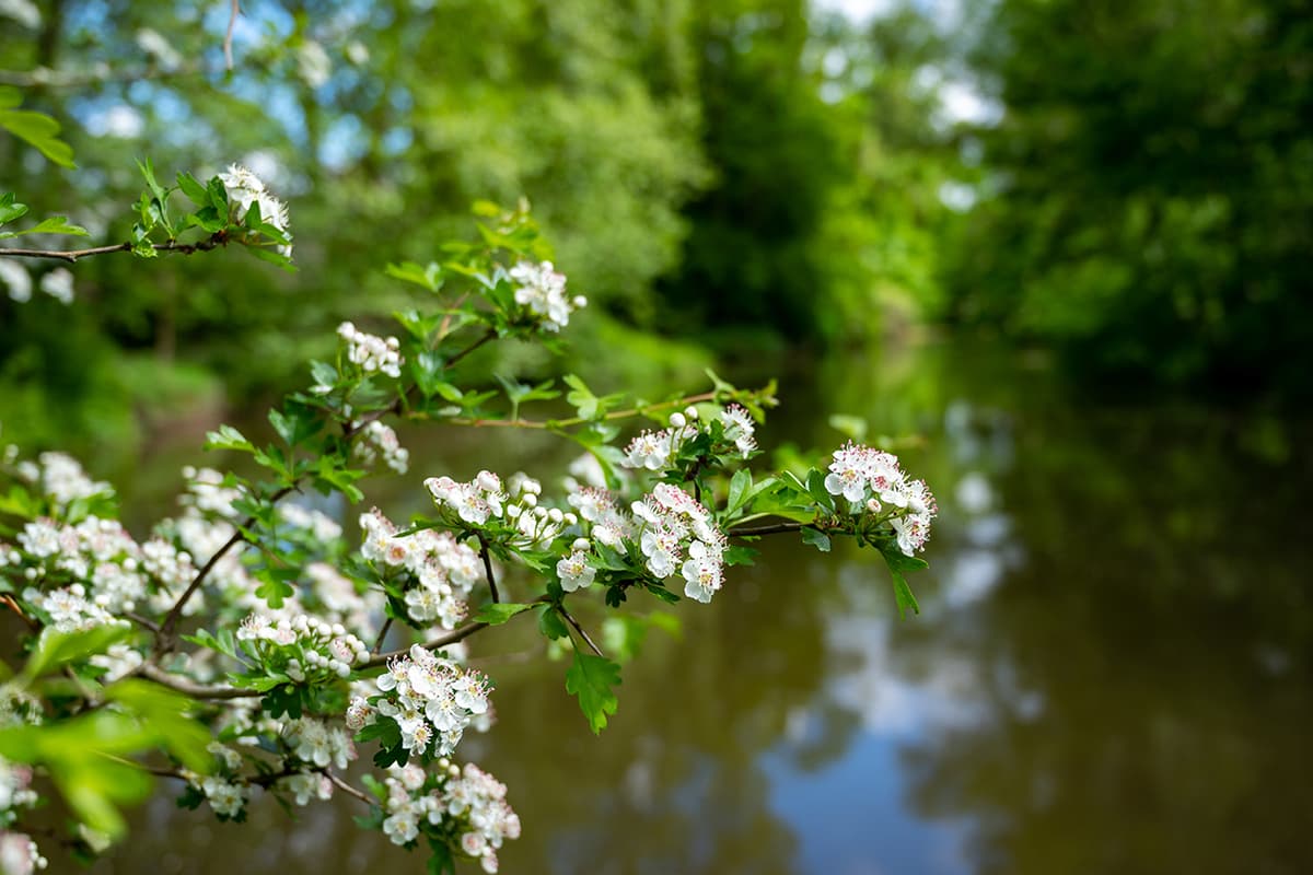 Notariaat Gennep — notariskantoor in Gennep