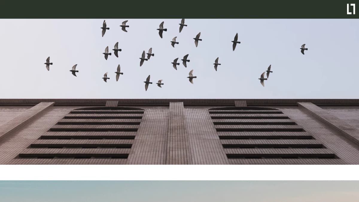 Pillar notarissen B.V. — notariskantoor in Den Haag